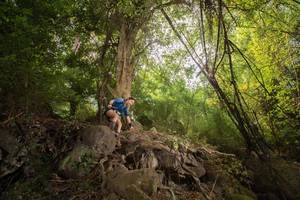 BIB: 
                            <button type="button" onclick="openModal(13718294)" class="btn btn-primary btn-sm float-right btn-popup" data-toggle="modal" data-target=".modal-high-quality">
                        <i class="fas fa-shopping-cart"></i> Add to Cart
                    </button>
                                            <button type="button" onclick="isThisMe(13718294, true)" class="btn btn-success btn-sm float-right btn-popup btn-isme hidden" data-toggle="tooltip" data-placement="bottom" title="นี่คือรูปของคุณใช่ไหม คลิกที่นี่เพื่อเอาเข้าอัลบั้ม">
                        <i class="fas fa-plus"></i> Add to album
                    </button>
                    <button type="button" onclick="isThisMe(13718294, false)" class="btn btn-warning btn-sm float-right btn-popup btn-isnotme hidden">
                        <i class="fas fa-ban"></i> Remove from album
                    </button>